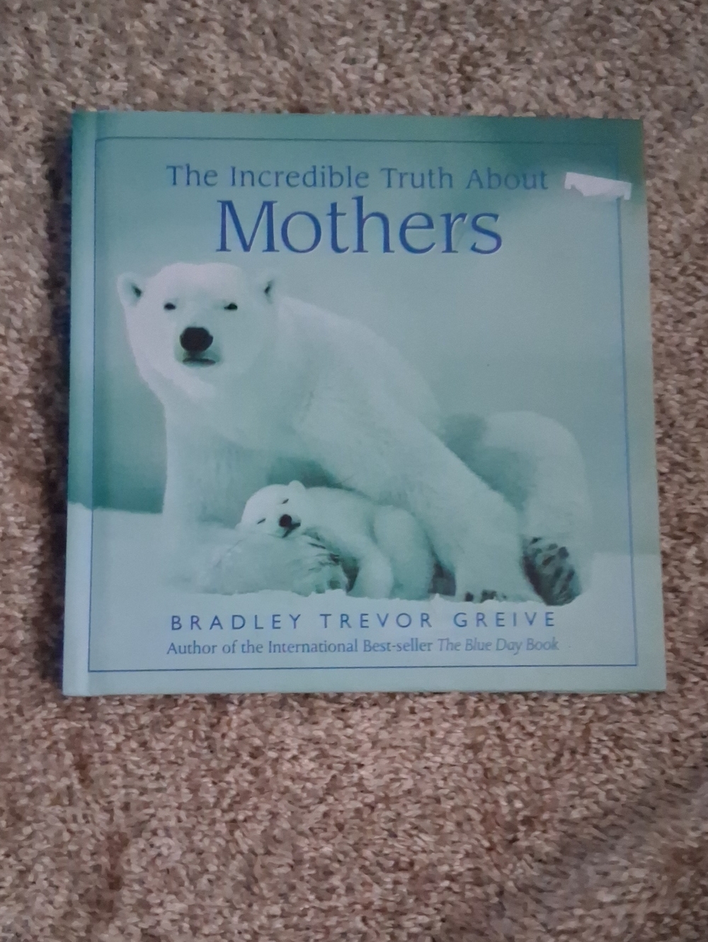 The Incredible Truth About Mothers - Light Blue Cover